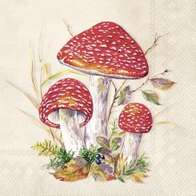 Коктейлни салфетки 20бр Toad екрю